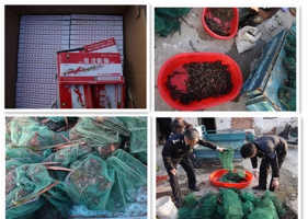 园区海洋渔业分局开展打击非法捕捞龙虾专项整治行动